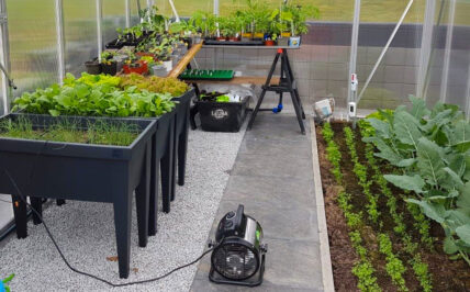 aufteilung im gewaechshaus noch mit heizung 1