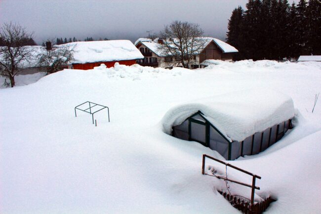 J. Bauer gewaechshausserie Midi Bayern