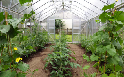 profi xl 100 170 blank 18