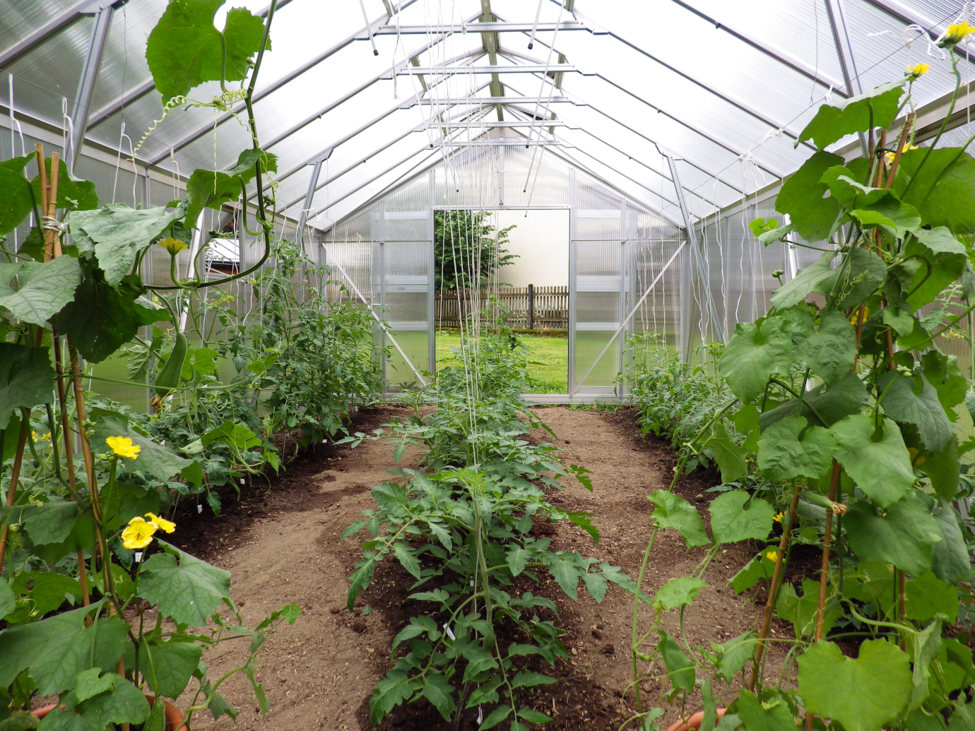 profi xl 100 170 blank 18