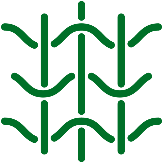 rankhilfenbefestigungen