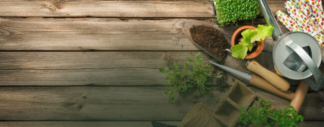 wama katalog mockup background 2