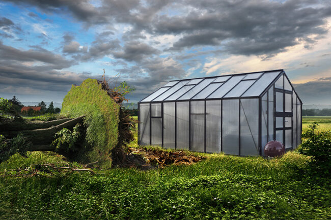 wama sturmsichere gewaechshaeuser